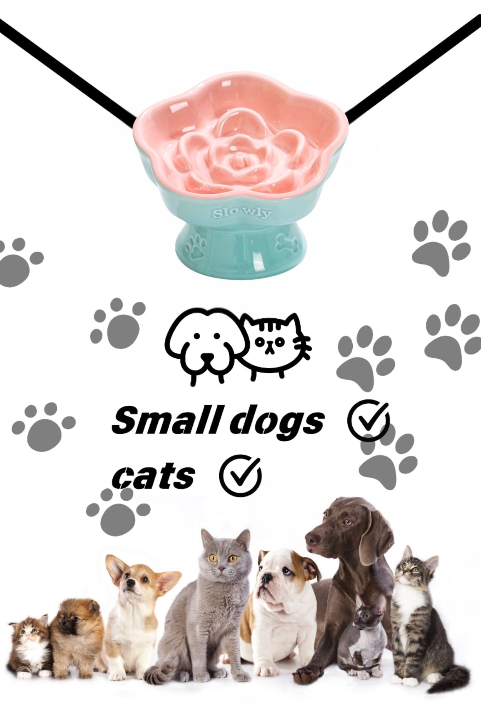 Aquainno ceramic raised slow feeder cat bowl pink ideal for cats and small dogs