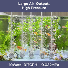AquaMiracle 10W aquarium air pump 317GPH powering robust oxygenation for larger tanks.
