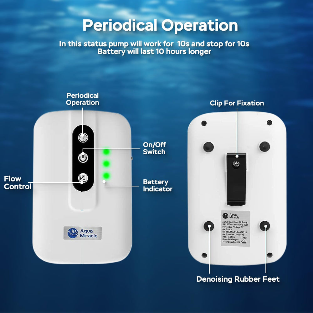 AquaMiracle 60-gallon compatible setup demonstrating portable aeration in larger tanks