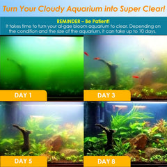 Aquamiracle timer display shows adjustable light cycles for green-water control.