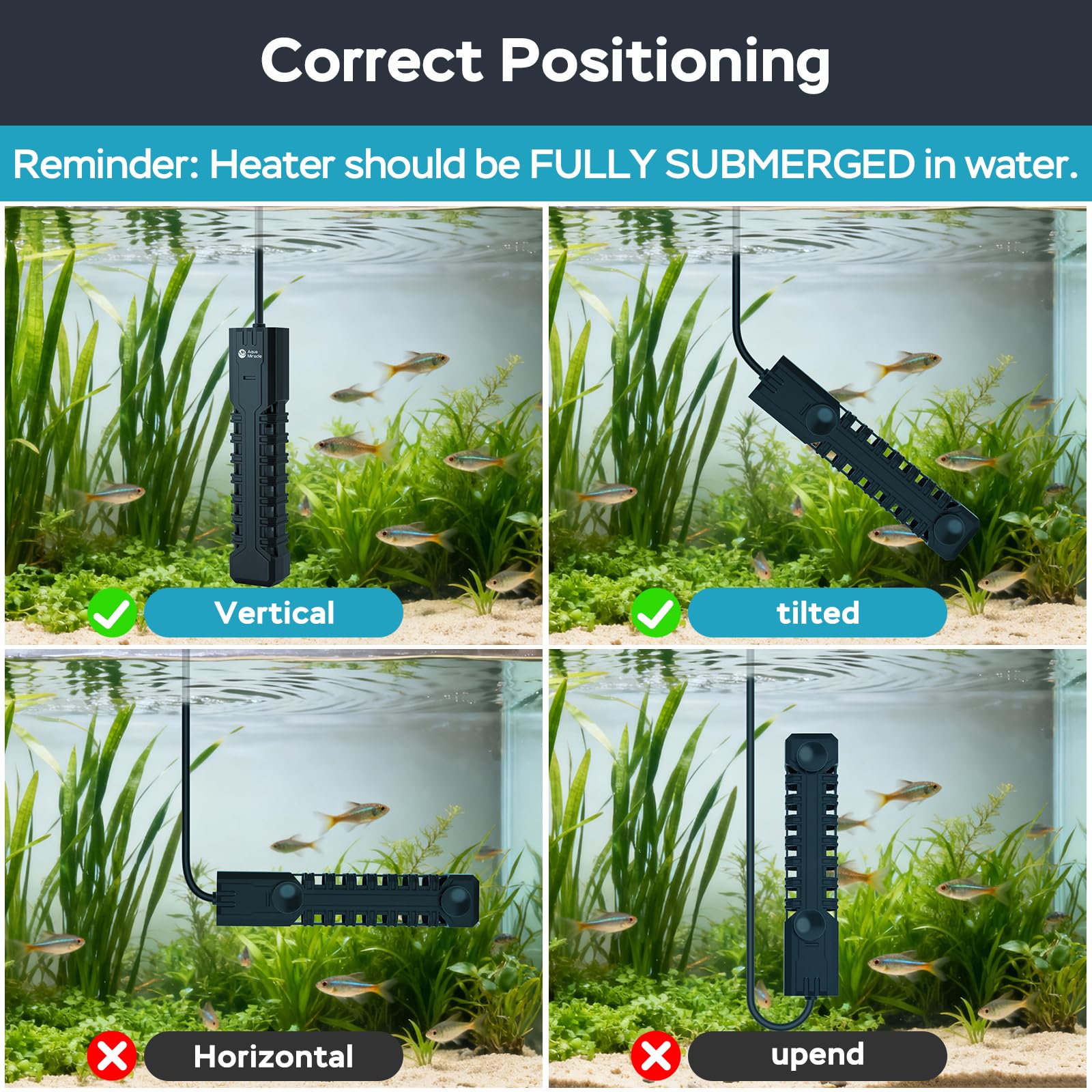 AquaMiracle heater supports freshwater and saltwater setups for flexibility.
