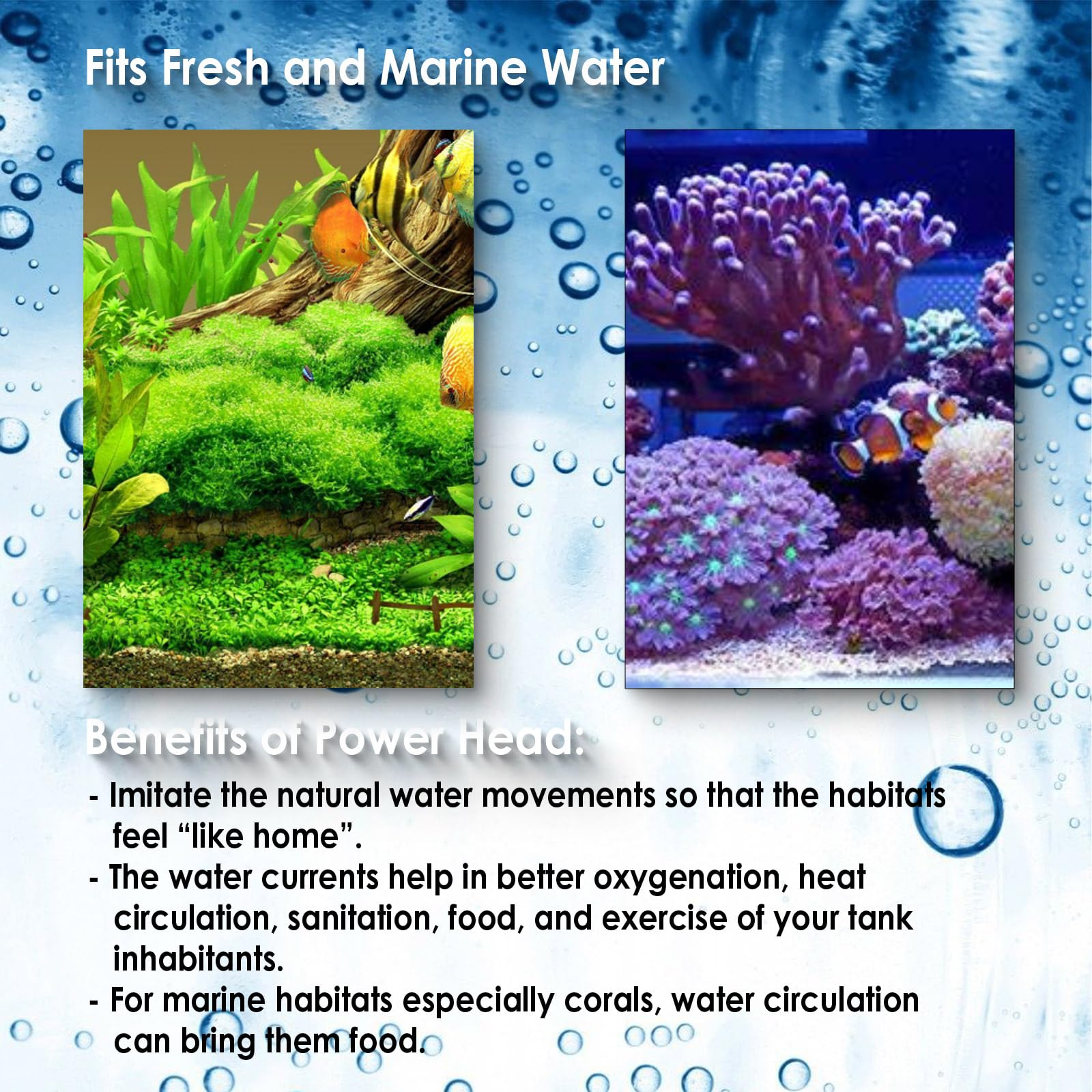 AquaMiracle 320GPH flow demonstrates strong water movement