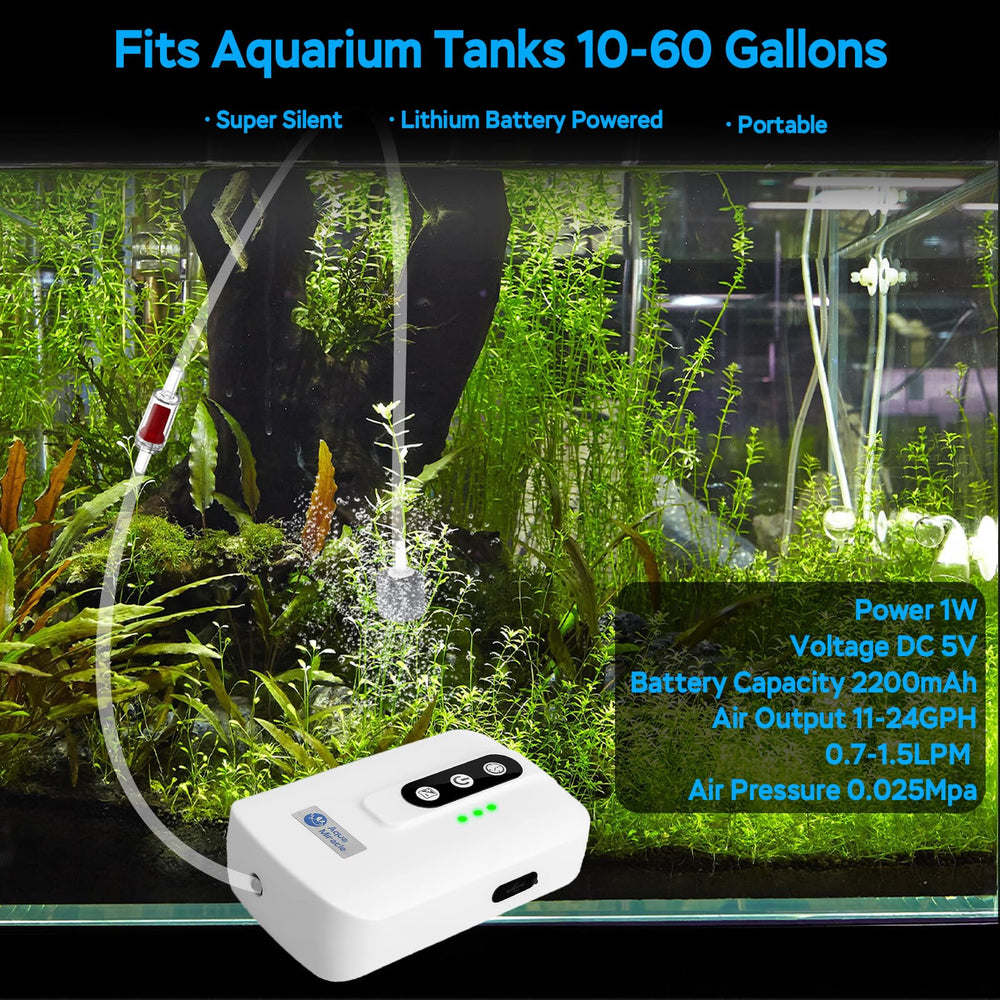 AquaMiracle USB rechargeable aquarium bubbler ensures continuous airflow on battery or plug