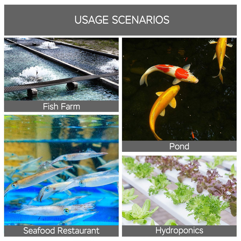 Versatile AquaMiracle setup supports aquarium, pond, hydroponics, and compost tea aeration.