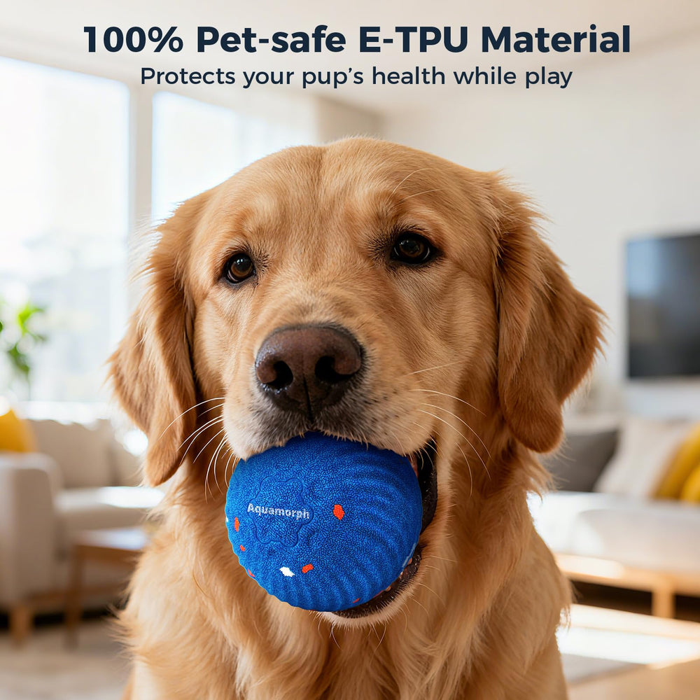 Aquamorph dog friendly ball used for indoor and outdoor play
