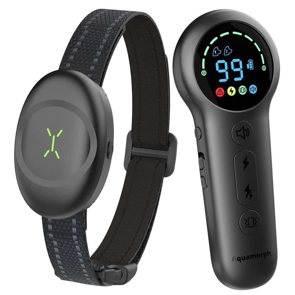 Aquamorph dog shock collar with neoprene padding for comfortable, irritation-free training.