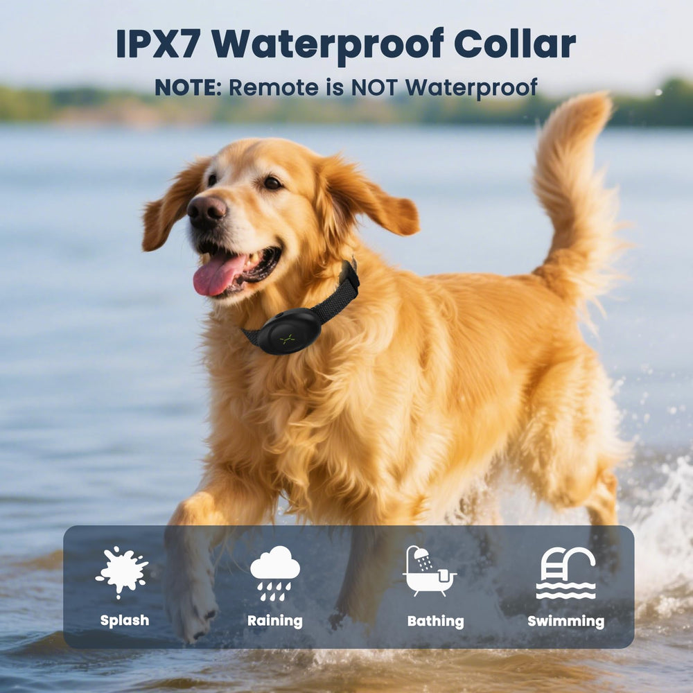 Aquamorph IPX7 waterproof collar stands up to rain, baths, and swims.