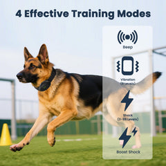 Aquamorph training mode vibration shows adjustable levels for calm behavior shaping.