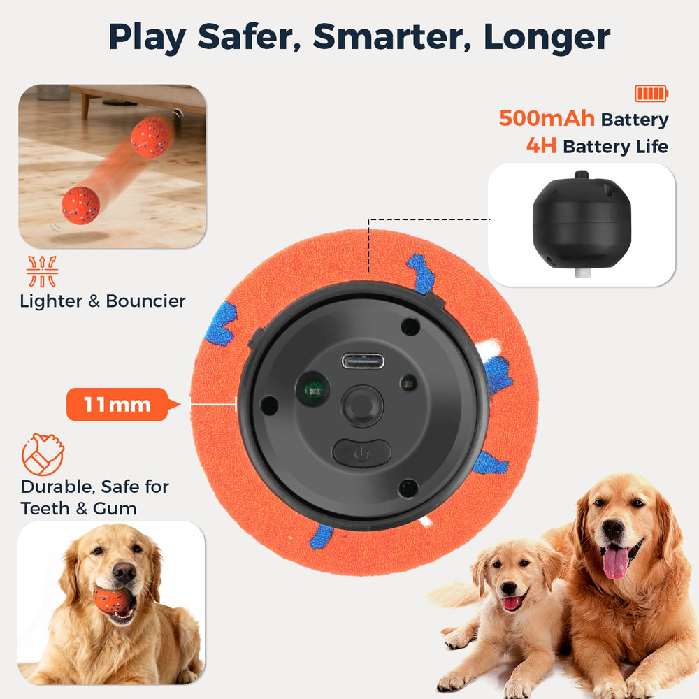 Aquamorph two-pack in action with dogs sharing playtime.