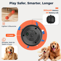 Aquamorph two-pack in action with dogs sharing playtime.