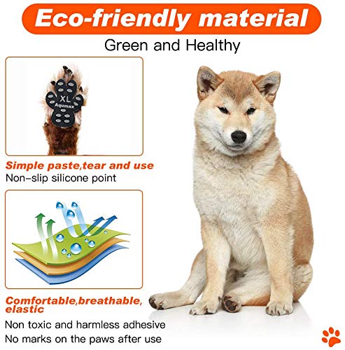 Aquamax dog-walk scene with paw grips shows steadier steps for senior dogs.