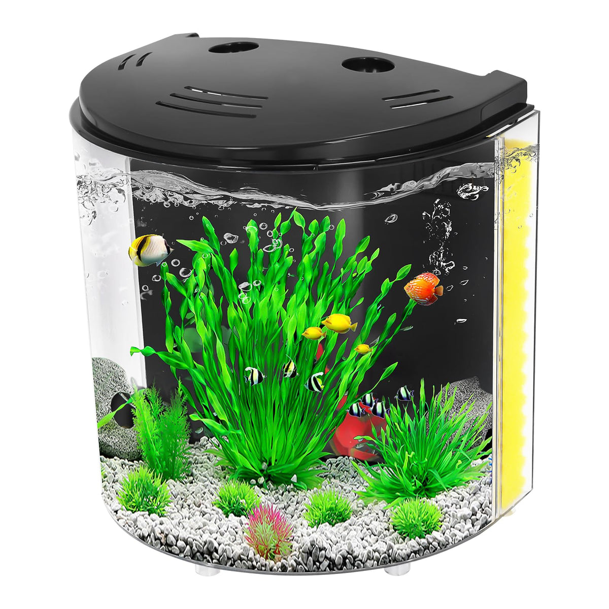 AQUANEAT fish tank with LED light on for bright, vibrant betta display.