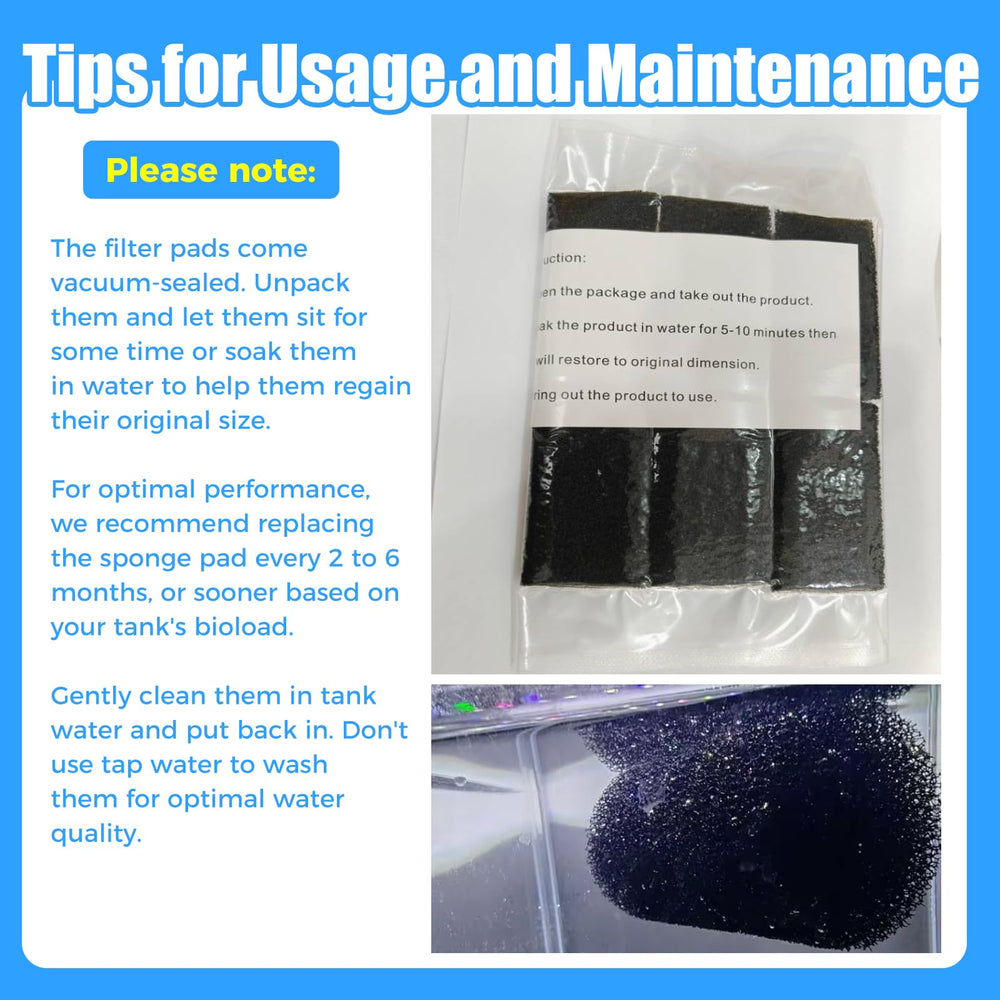 AQUANEAT sponge improves water flow while protecting tank inhabitants