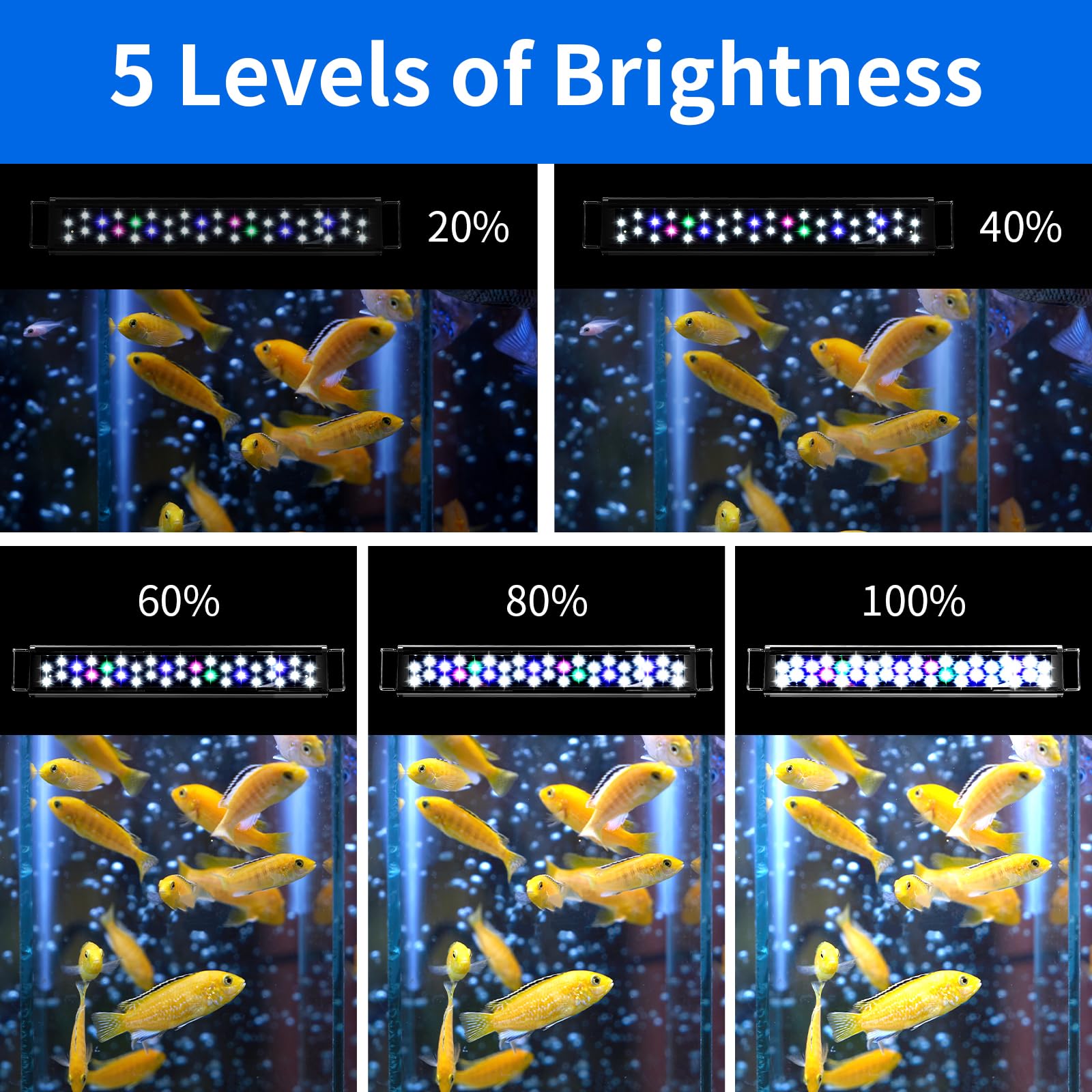 AQUANEAT LED aquarium light demonstrates brightness control from 100% to 20%