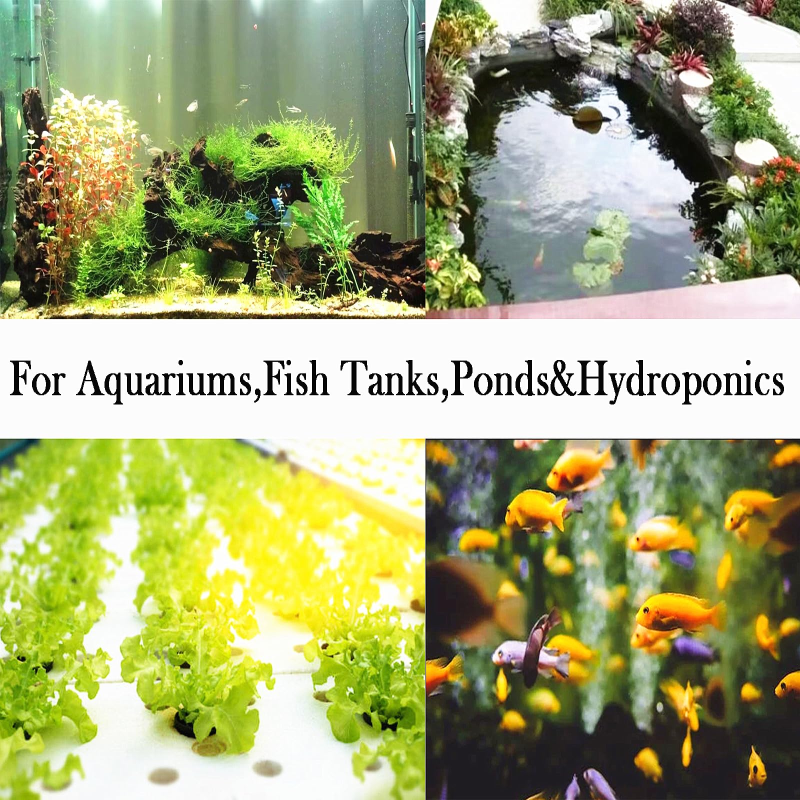 AQUANEAT in-tank aeration example with thriving roots and clear water