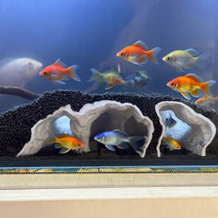 Aquarium Cave Decor 3D-Printed Tunnel provides secure hideaway for shy fish and shrimp.