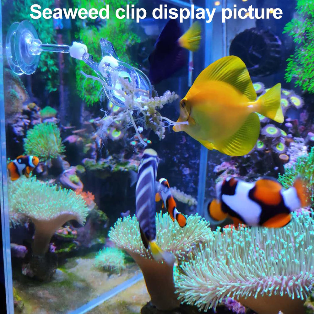 Aquarium Choice 10.6-inch tweezers for precise handling.