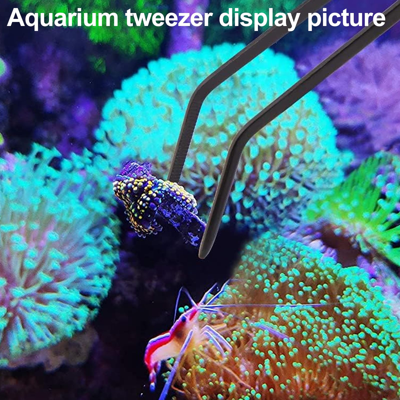 Aquarium Choice 26-inch coral feeder for distant feeding in reef tanks.