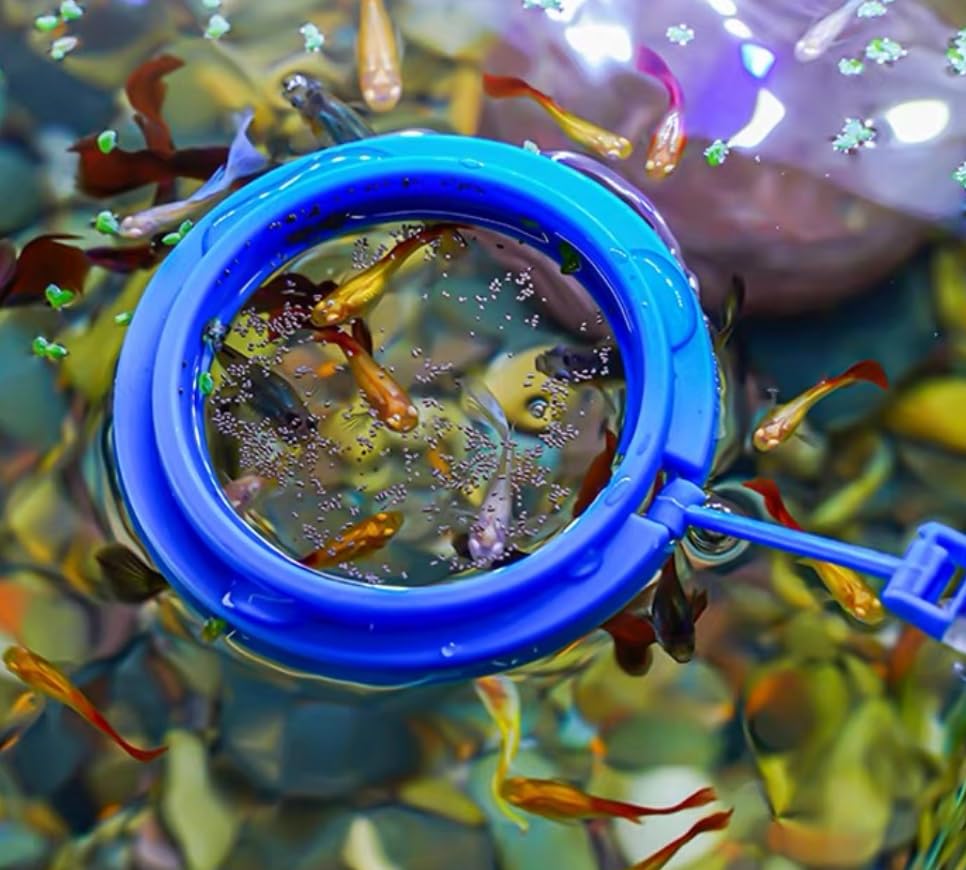 Aquarium Choice feeding ring 2.95-inch for targeted food placement.