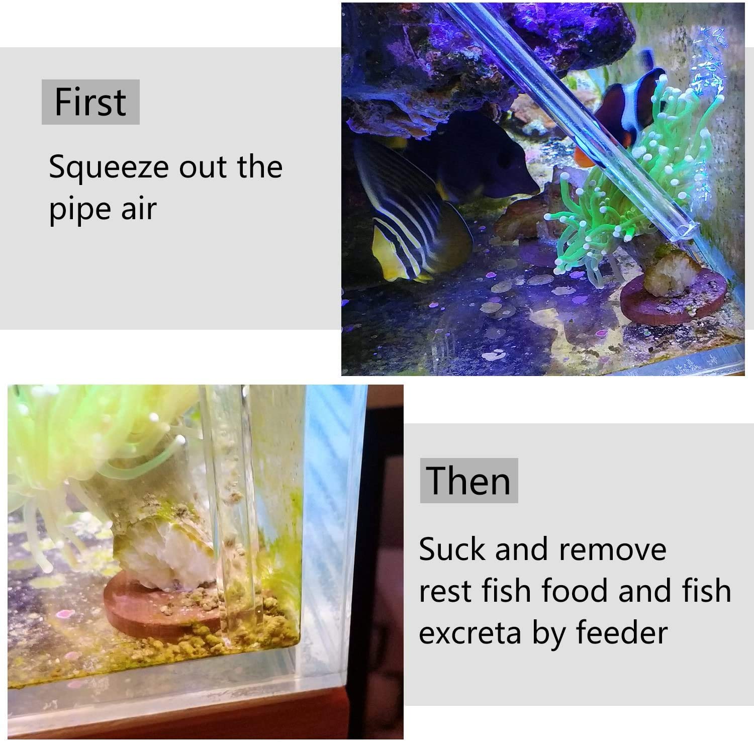 Aquarium Choice marine tank use illustrating easy feeding routine