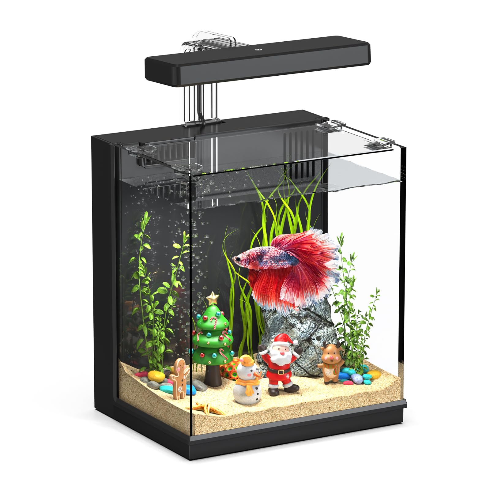 AQUASMITH Beta fish tank front view highlights a compact all-in-one beginner setup.