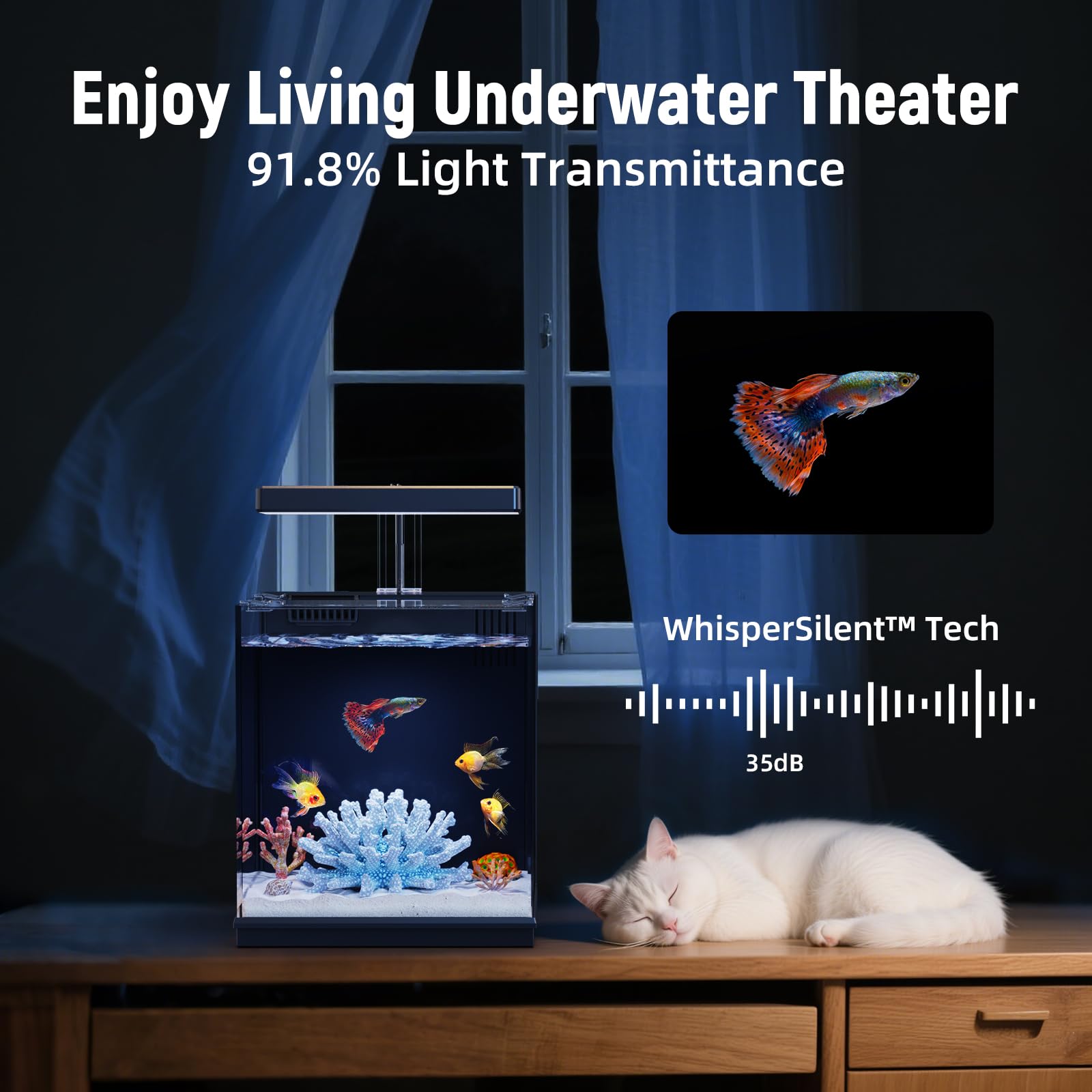 AQUASMITH Beta high-clarity glass offers clear viewing and enhanced aquarium aesthetics.