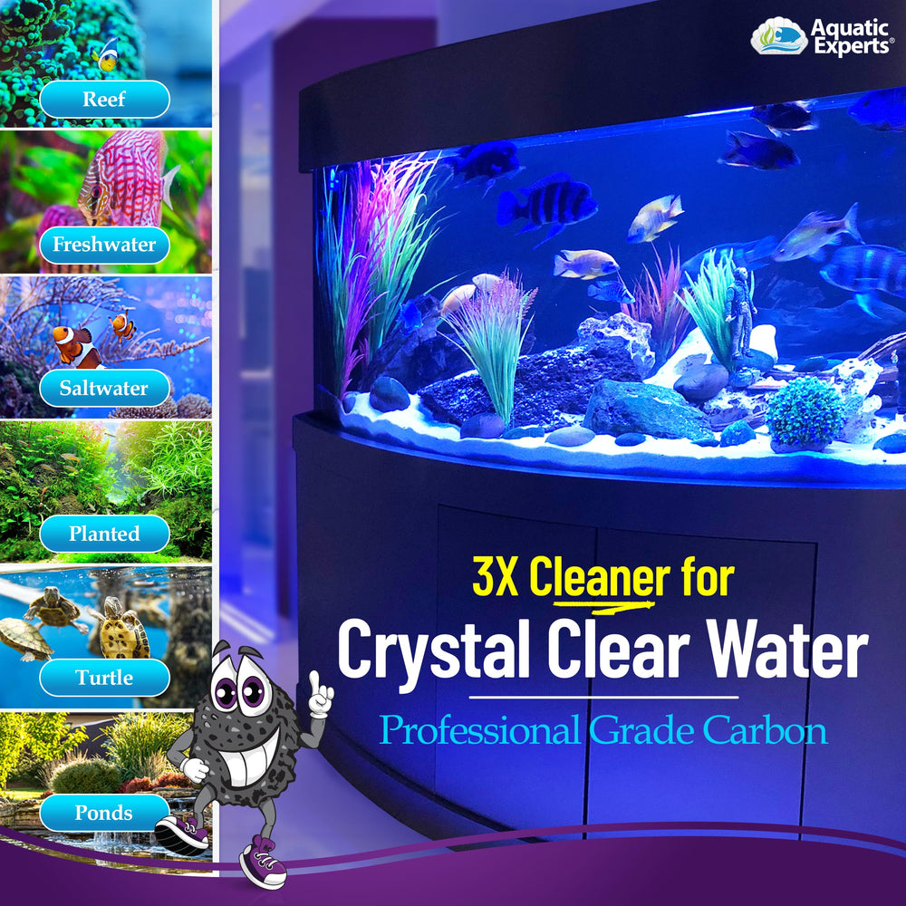 Aquatic Experts dust-free rinse image shows easy cleaning.