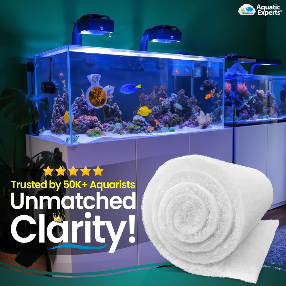 Aquatic Experts FilterFirst reef and saltwater friendly for versatile tanks.