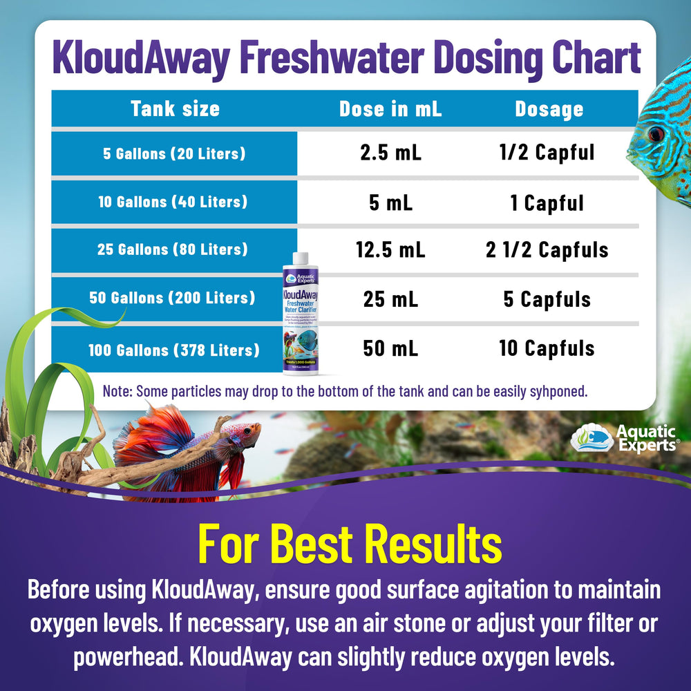 Freshwater aquarium with fish and plants after KloudAway use.