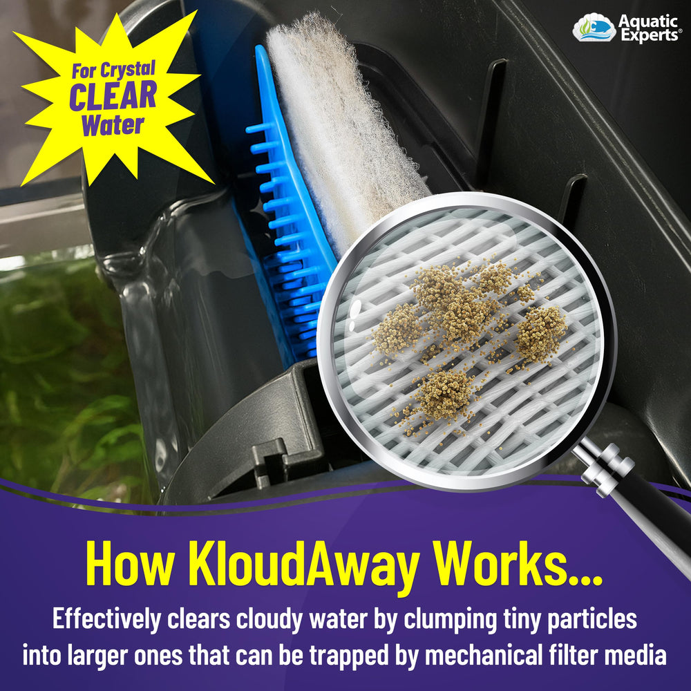 Aquatic Experts KloudAway-water-clear-sample shows clearer water after treatment, ready for viewing