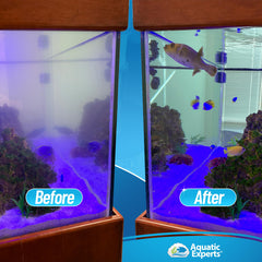 Aquatic Experts reef sump filter sock in use for efficient debris capture