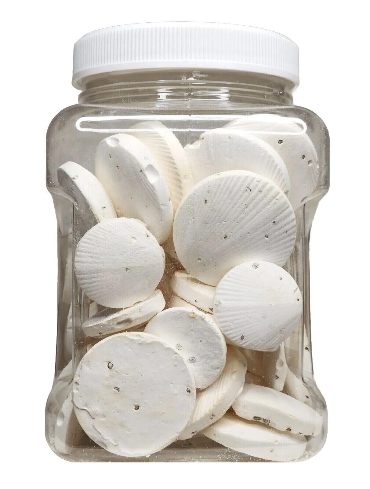 Aquatic Foods Inc. calcium feeders disk medium-jar front view supports growth and color enhancement.