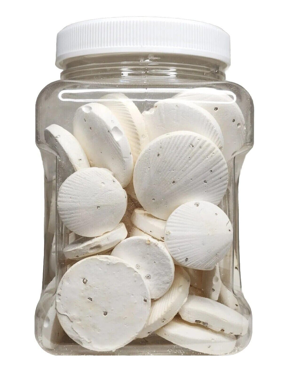 Aquatic Foods Inc. calcium feeders disk medium-jar front view supports growth and color enhancement.