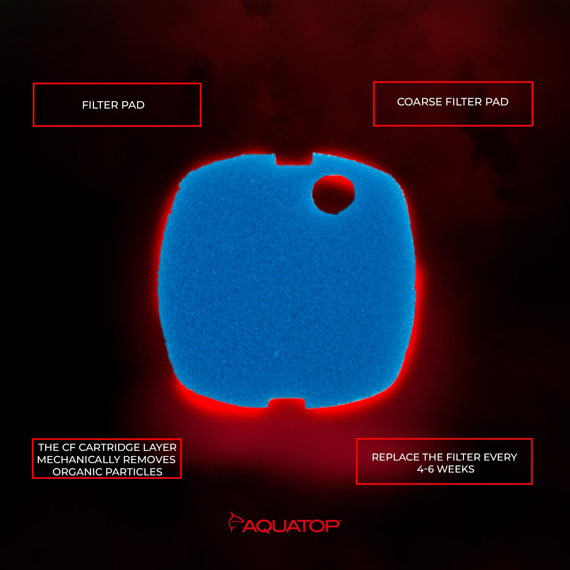 Aquatop aquarium water clarity after filtration in freshwater tank.