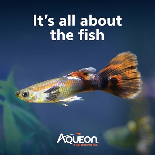 Aqueon Auto-start pump restarts after power interruption for uninterrupted filtration.