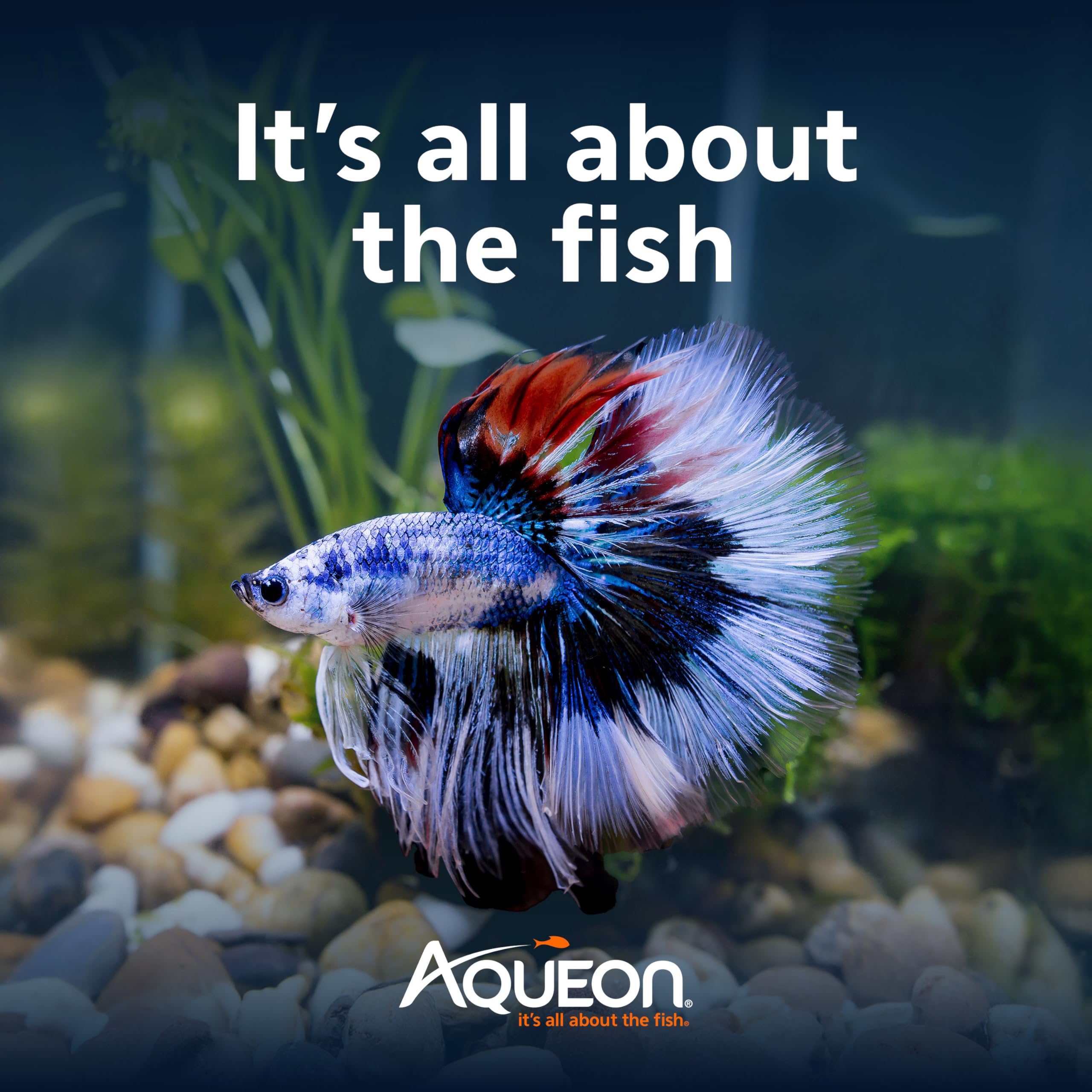 Aqueon BettaBow food sample simplifies feeding routines