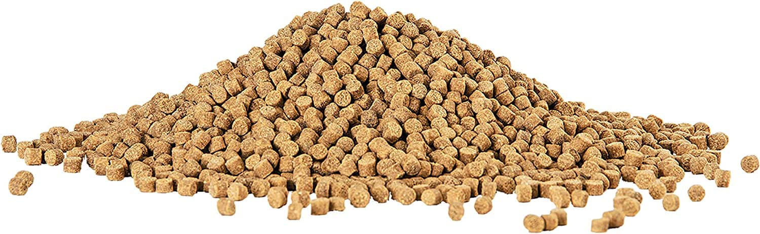 Aqueon Shrimp Pellets for bottom-dweller loaches and catfish nutrition