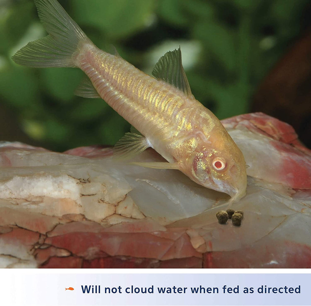 Aqueon Shrimp Pellets color-red enhance vibrancy in tropical fish
