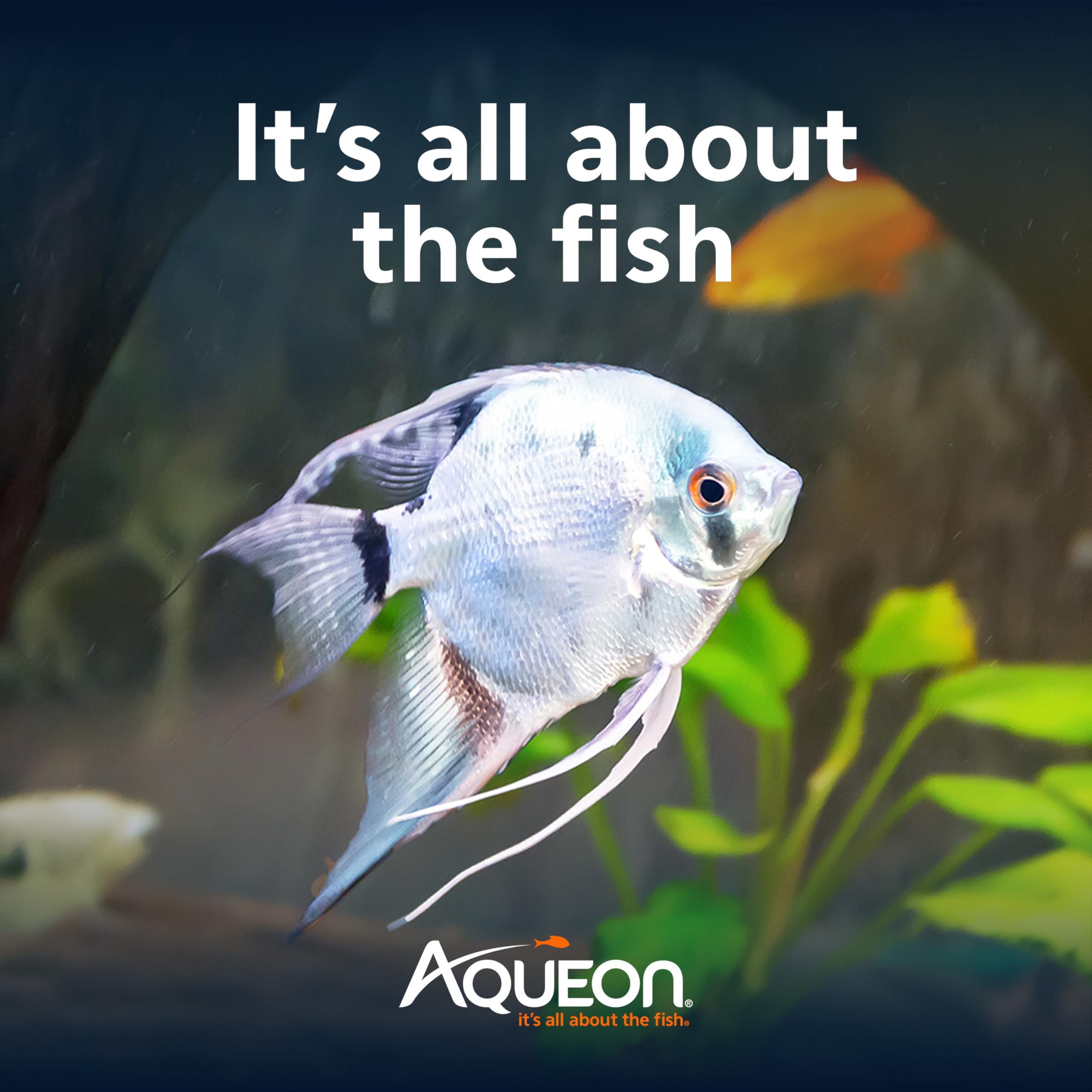 Aqueon starter kit packaging highlighting all-in-one convenience