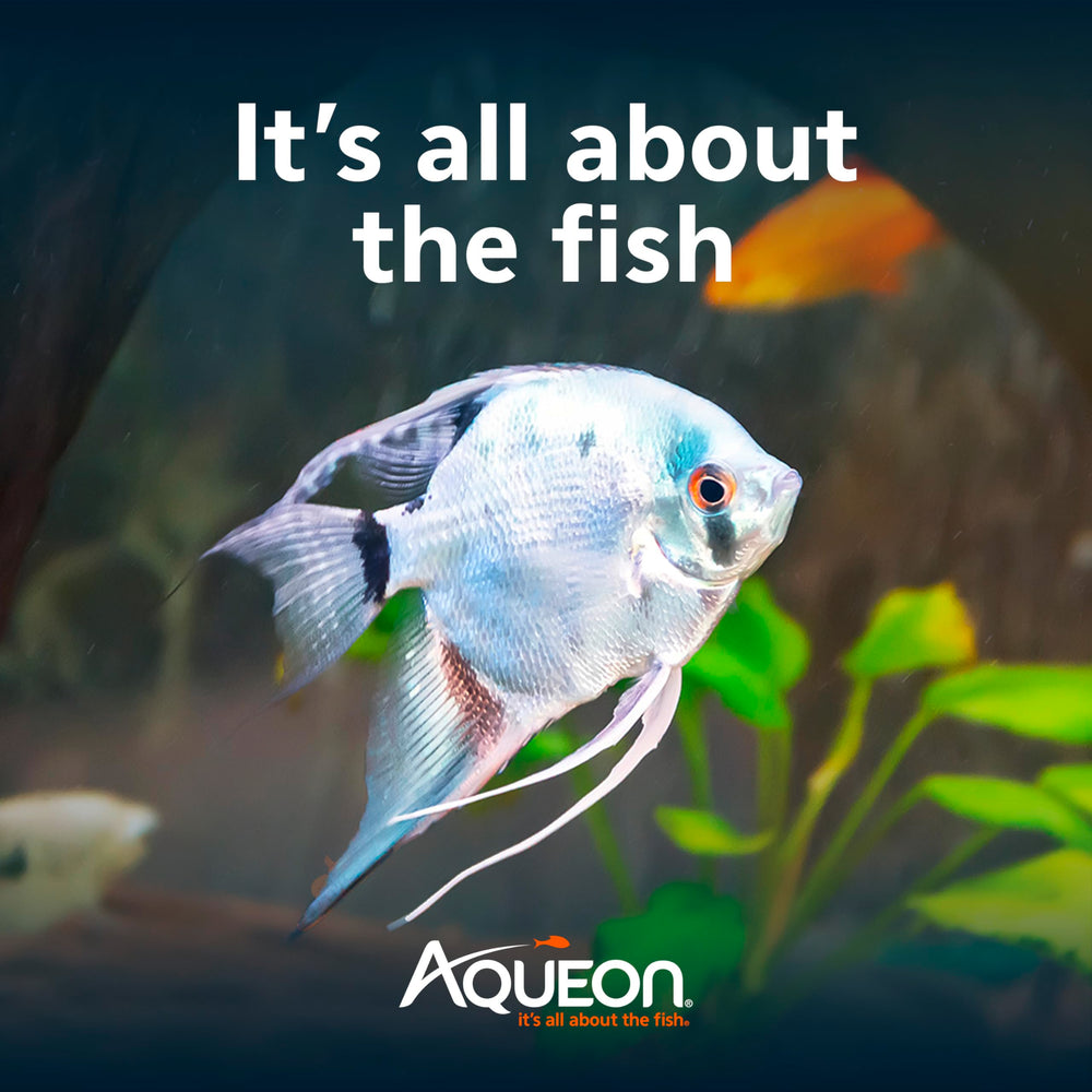 Aqueon starter kit packaging highlighting all-in-one convenience
