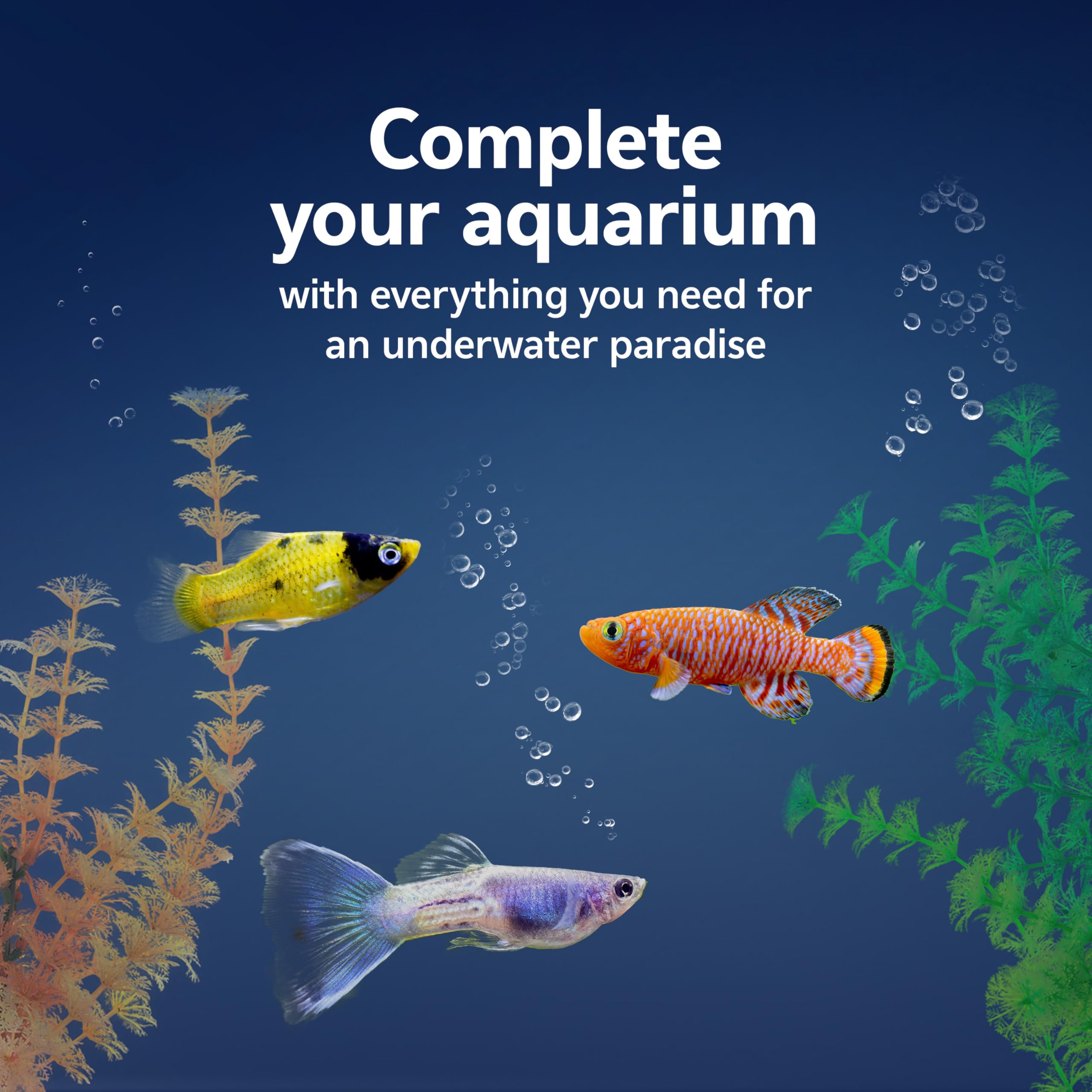 Aqueon thermometer showing easy water condition checks