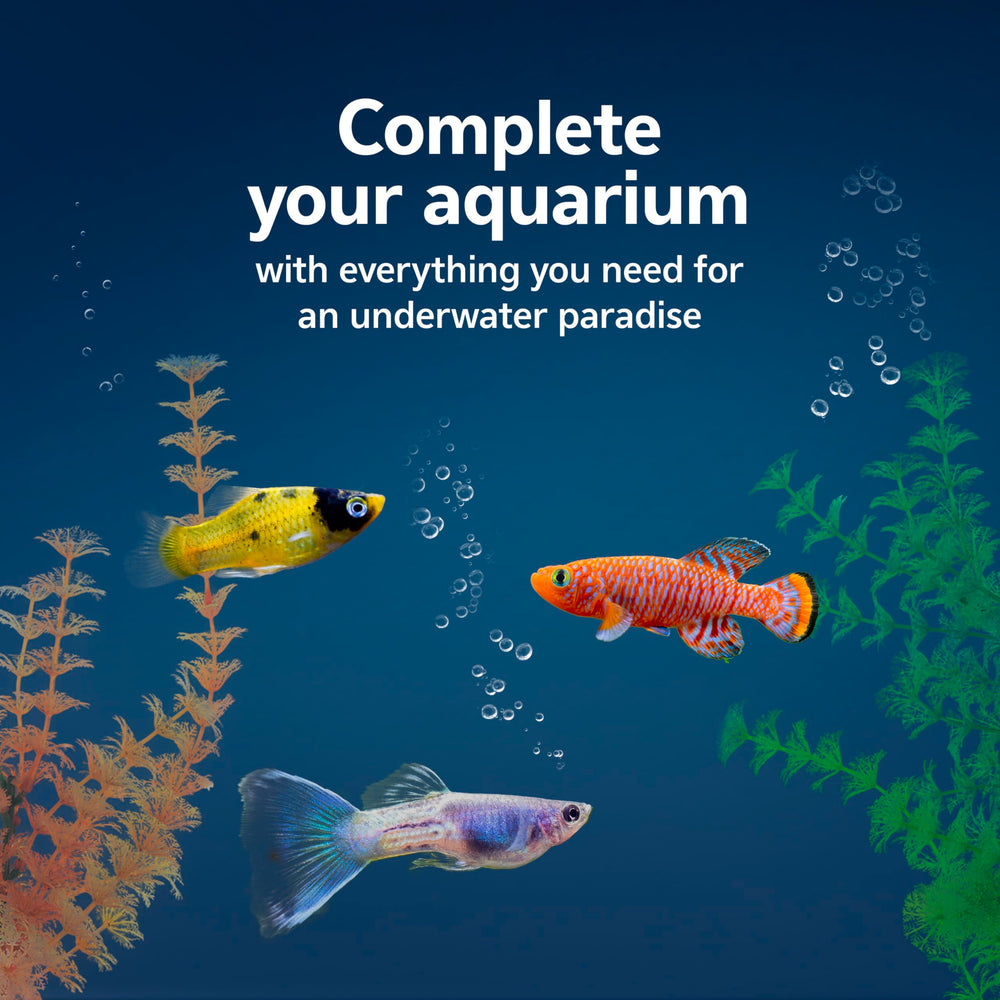 Aqueon thermometer showing easy water condition checks