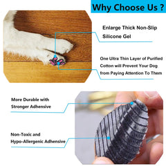 Aqumax Dog Paw Protector adhesive application demonstrates easy, two-step sticking on paws.