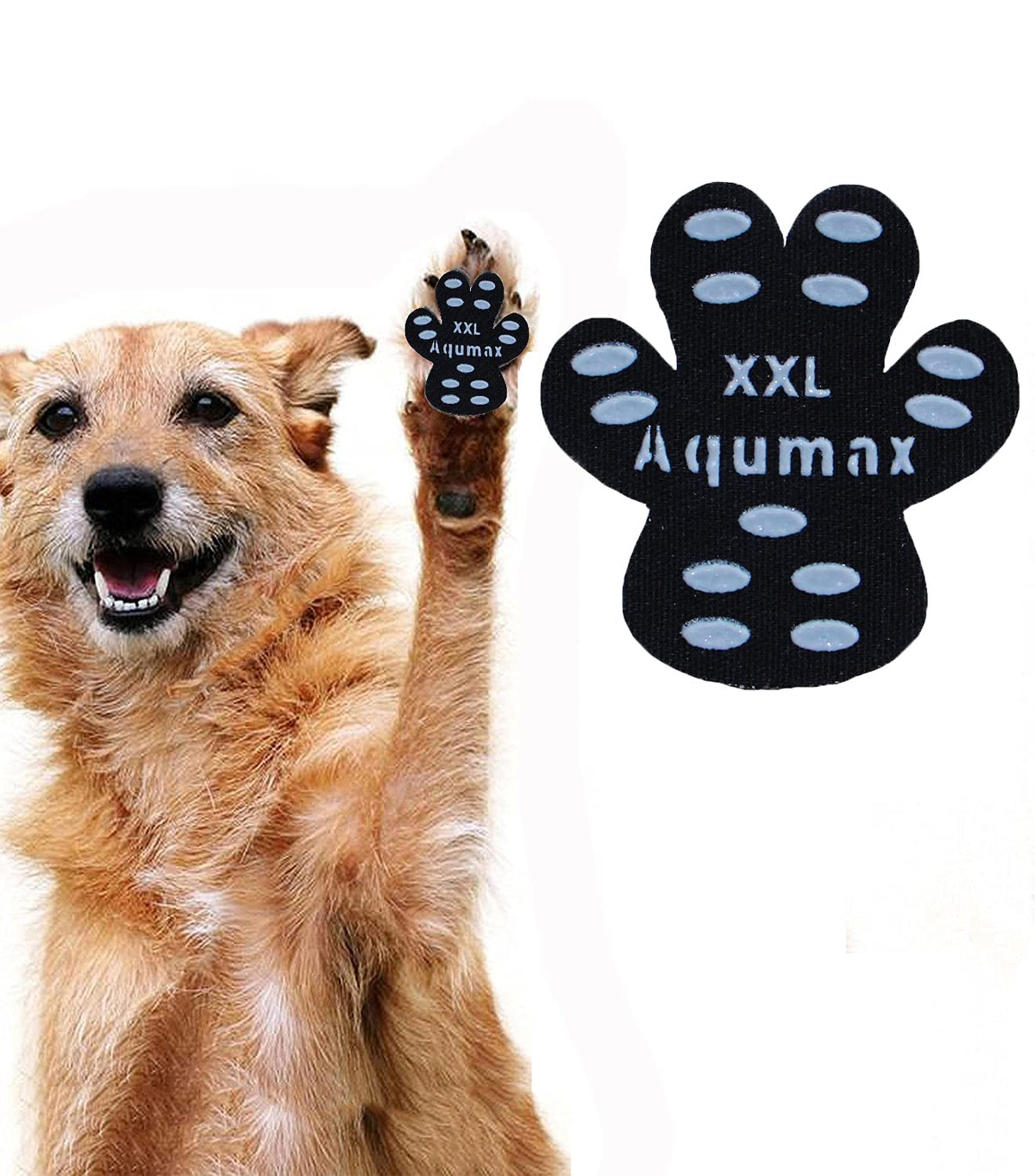 Aqumax dog paw protector traction pad on a dog's paw improves grip on slick floors.