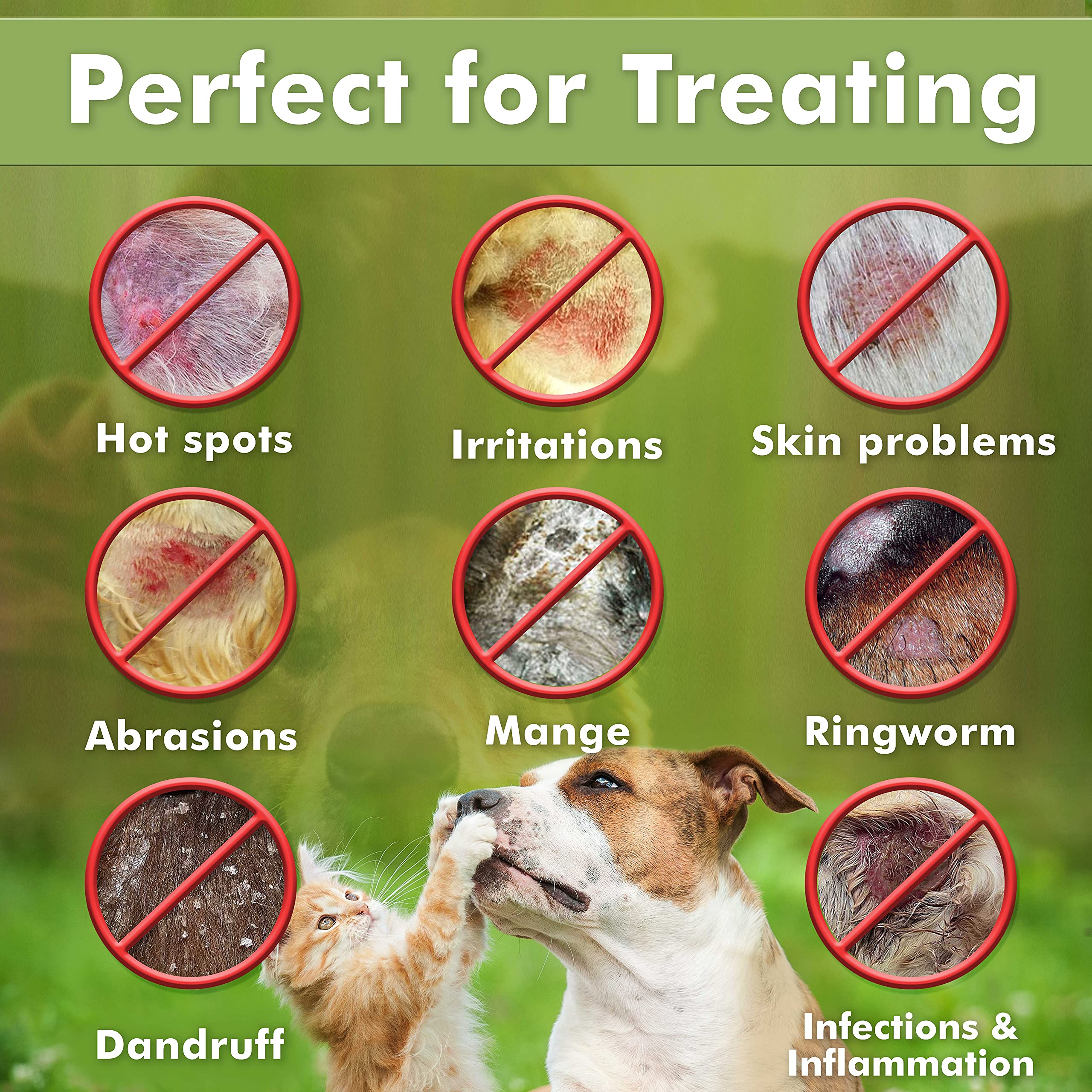 Arava undercoat wash highlights deep cleansing for follicles and coat vitality