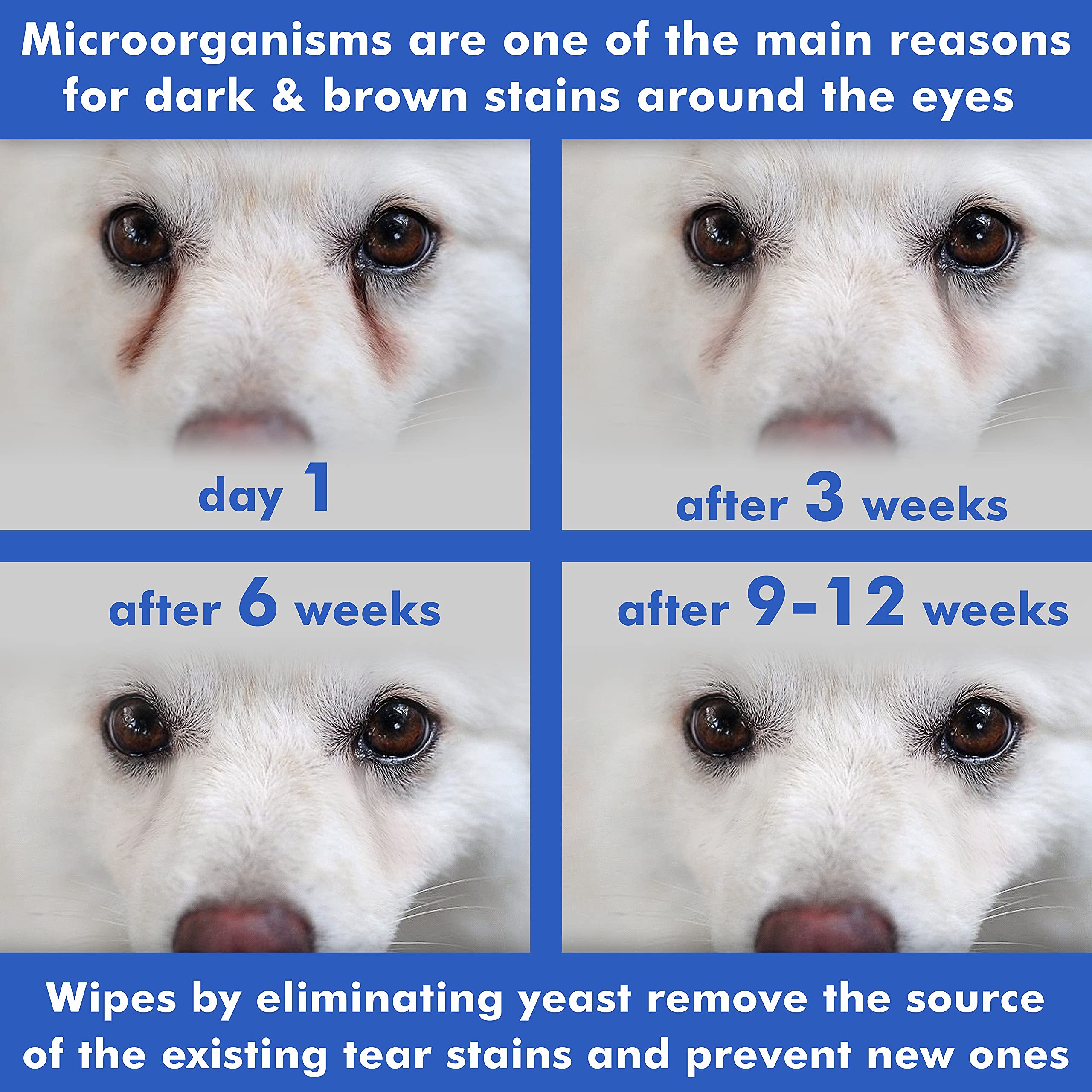Arava Eye Wipes are beneficial for senior pets with sensitive eyes