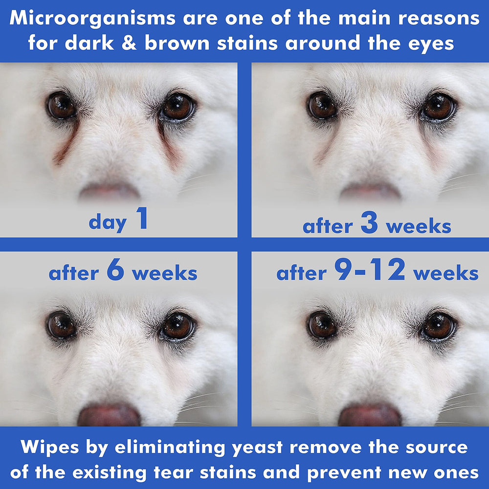 Arava Eye Wipes are beneficial for senior pets with sensitive eyes