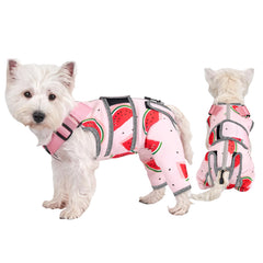 Arblina dog recovery suit front view pink protects hind legs for post-surgery care
