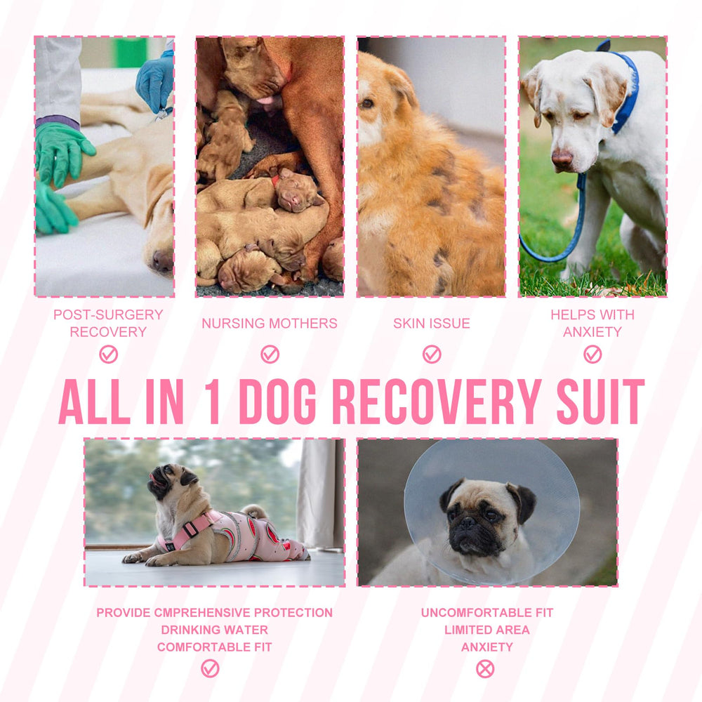 Arblina dog recovery suit size-range pink suitable for medium to large dogs