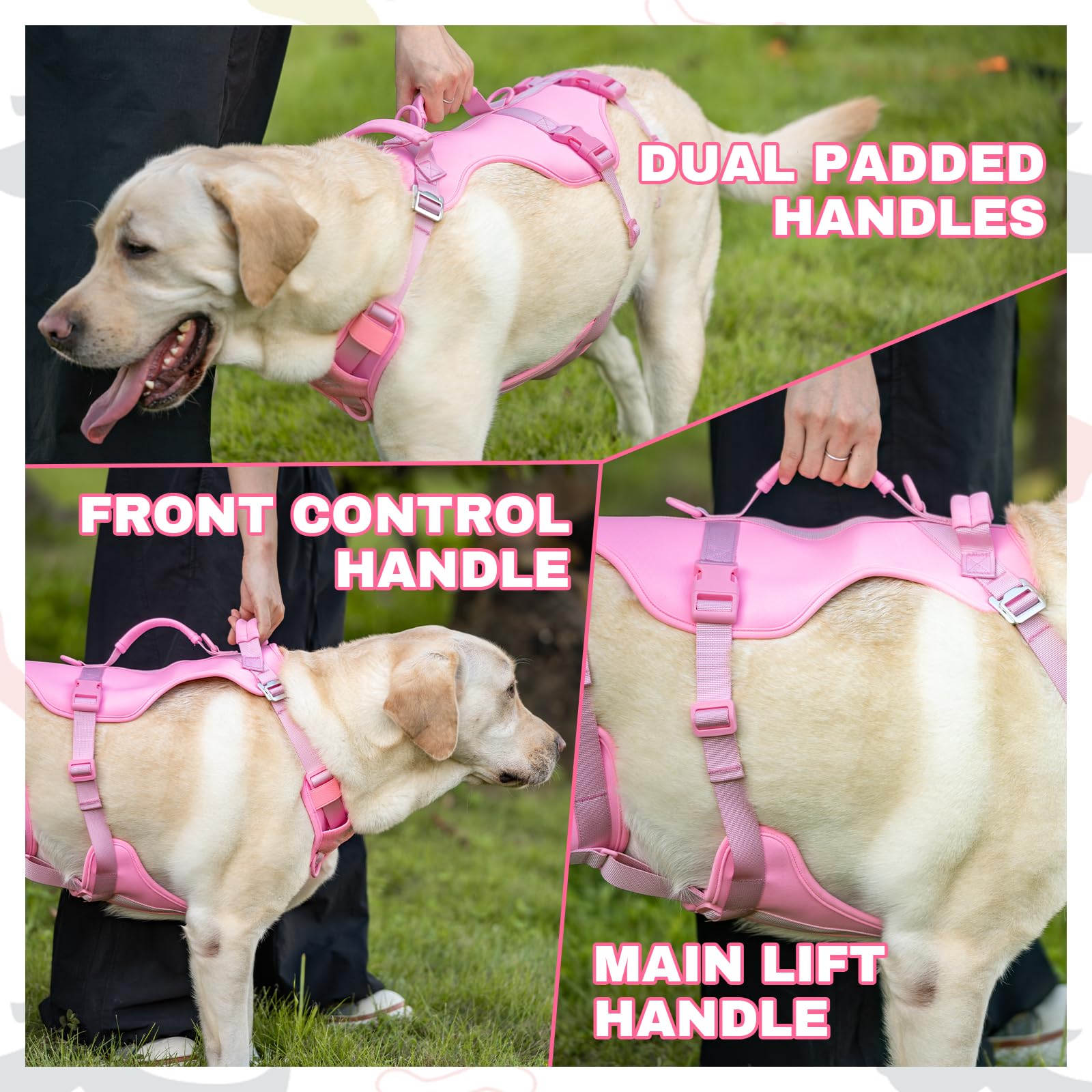 Arblina escape-proof dog harness back-attachment supports versatile leash setups